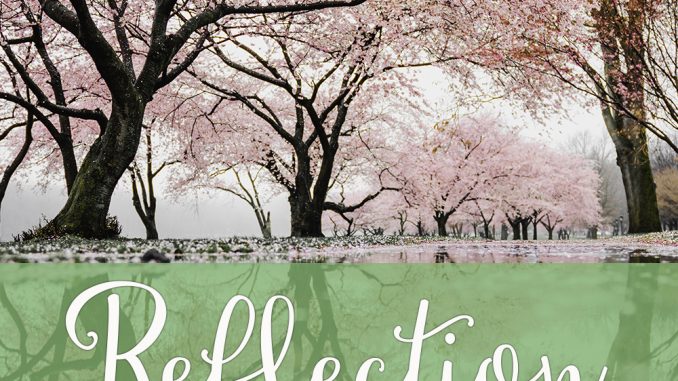 devotions-10-the-perfect-parent